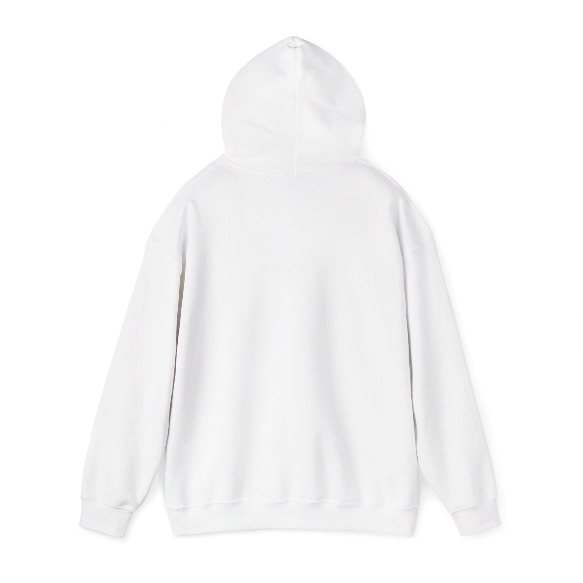 Hoodie — Minimal Sunglasses Graphic "Never Complicated"